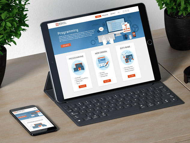 Sokolprograming - розробник asp.net